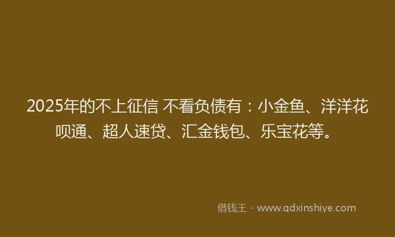 2025年的不上征信 不看负债有：小金鱼、洋洋花呗通、超人速贷、汇金钱包、乐宝花等。