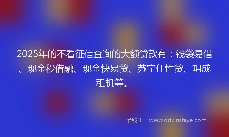 2025年的不看征信查询的大额贷款有：钱袋易借、现金秒借融、现金快易贷、苏宁任性贷、玥成租机等。