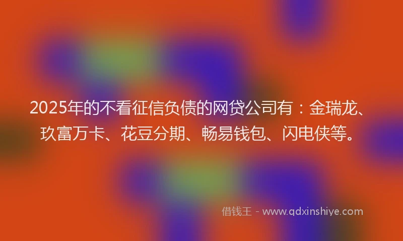 2025年的不看征信负债的网贷公司有：金瑞龙、玖富万卡、花豆分期、畅易钱包、闪电侠等。