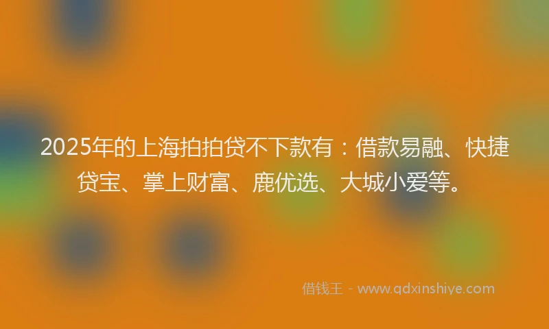 2025年的上海拍拍贷不下款有：借款易融、快捷贷宝、掌上财富、鹿优选、大城小爱等。