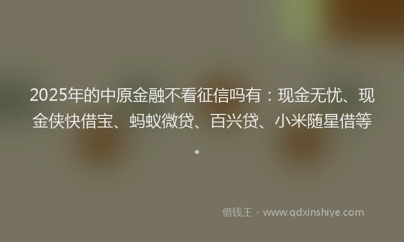 2025年的中原金融不看征信吗有：现金无忧、现金侠快借宝、蚂蚁微贷、百兴贷、小米随星借等。
