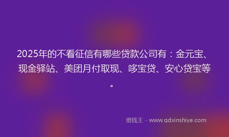 2025年的不看征信有哪些贷款公司有：金元宝、现金驿站、美团月付取现、哆宝贷、安心贷宝等。