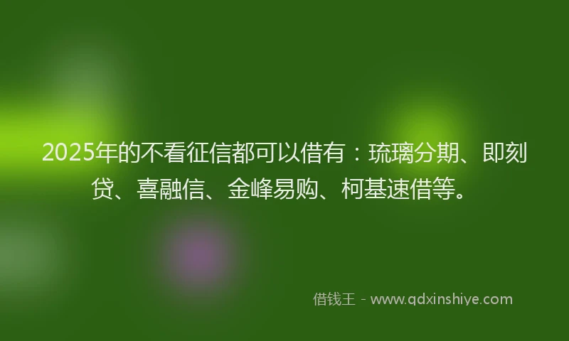 2025年的不看征信都可以借有：琉璃分期、即刻贷、喜融信、金峰易购、柯基速借等。