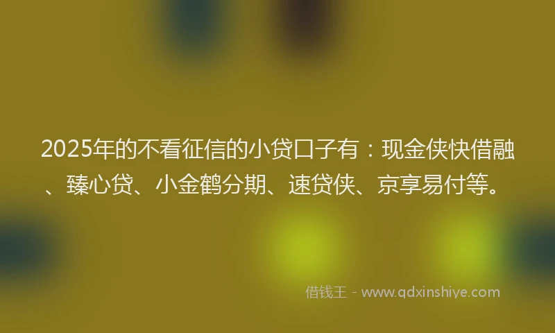 2025年的不看征信的小贷口子有：现金侠快借融、臻心贷、小金鹤分期、速贷侠、京享易付等。