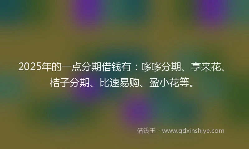 2025年的一点分期借钱有：哆哆分期、享来花、桔子分期、比速易购、盈小花等。