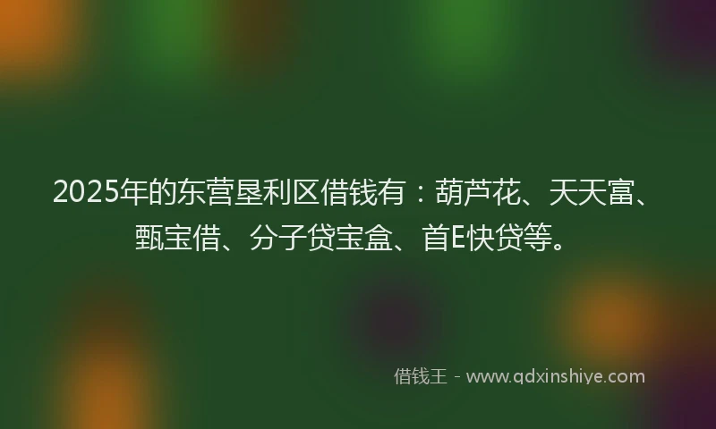 2025年的东营垦利区借钱有：葫芦花、天天富、甄宝借、分子贷宝盒、首E快贷等。