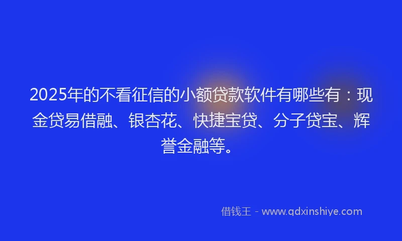 2025年的不看征信的小额贷款软件有哪些有：现金贷易借融、银杏花、快捷宝贷、分子贷宝、辉誉金融等。