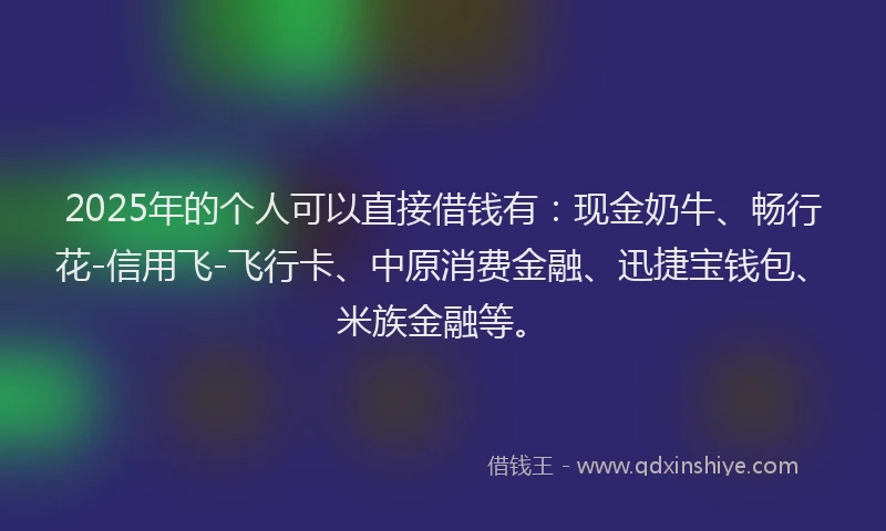 2025年的个人可以直接借钱有：现金奶牛、畅行花-信用飞-飞行卡、中原消费金融、迅捷宝钱包、米族金融等。
