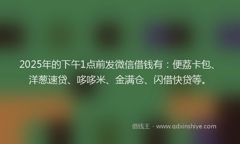 2025年的下午1点前发微信借钱有：便荔卡包、洋葱速贷、哆哆米、金满仓、闪借快贷等。