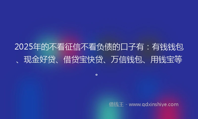 2025年的不看征信不看负债的口子有：有钱钱包、现金好贷、借贷宝快贷、万信钱包、用钱宝等。