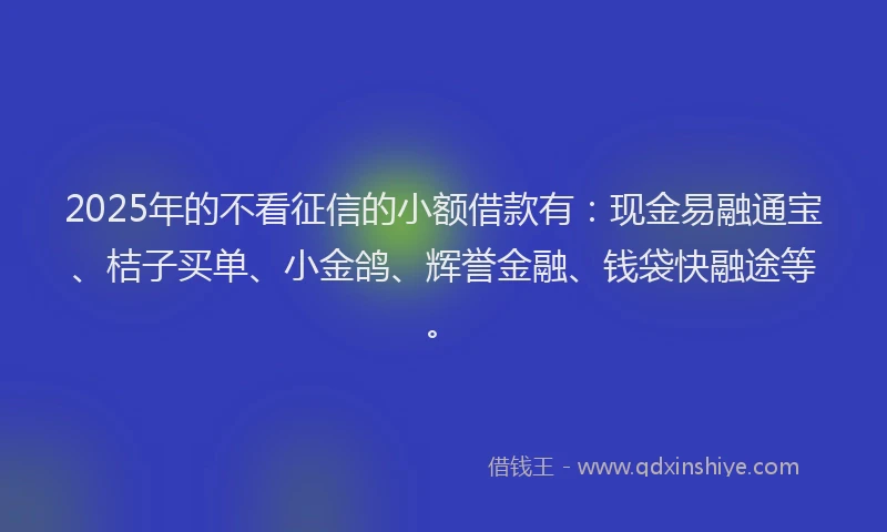 2025年的不看征信的小额借款有：现金易融通宝、桔子买单、小金鸽、辉誉金融、钱袋快融途等。