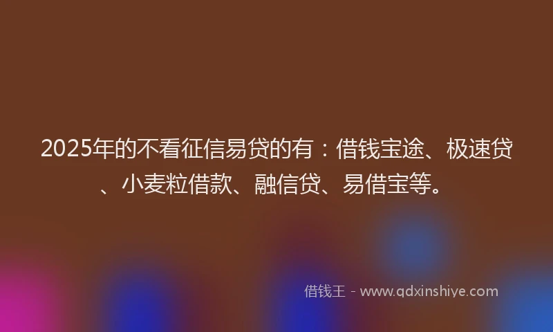 2025年的不看征信易贷的有：借钱宝途、极速贷、小麦粒借款、融信贷、易借宝等。