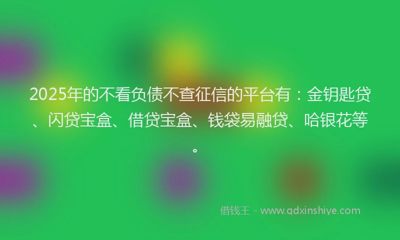 2025年的不看负债不查征信的平台有：金钥匙贷、闪贷宝盒、借贷宝盒、钱袋易融贷、哈银花等。
