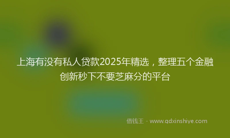 上海有没有私人贷款2025年精选，整理五个金融创新秒下不要芝麻分的平台