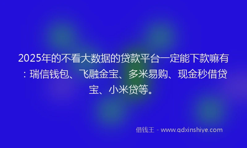 2025年的不看大数据的贷款平台一定能下款嘛有：瑞信钱包、飞融金宝、多米易购、现金秒借贷宝、小米贷等。