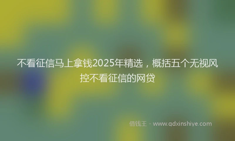 不看征信马上拿钱2025年精选，概括五个无视风控不看征信的网贷