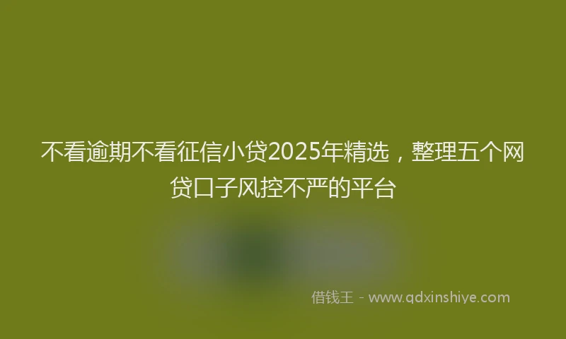不看逾期不看征信小贷2025年精选，整理五个网贷口子风控不严的平台
