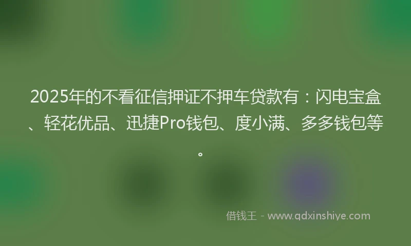 2025年的不看征信押证不押车贷款有：闪电宝盒、轻花优品、迅捷Pro钱包、度小满、多多钱包等。