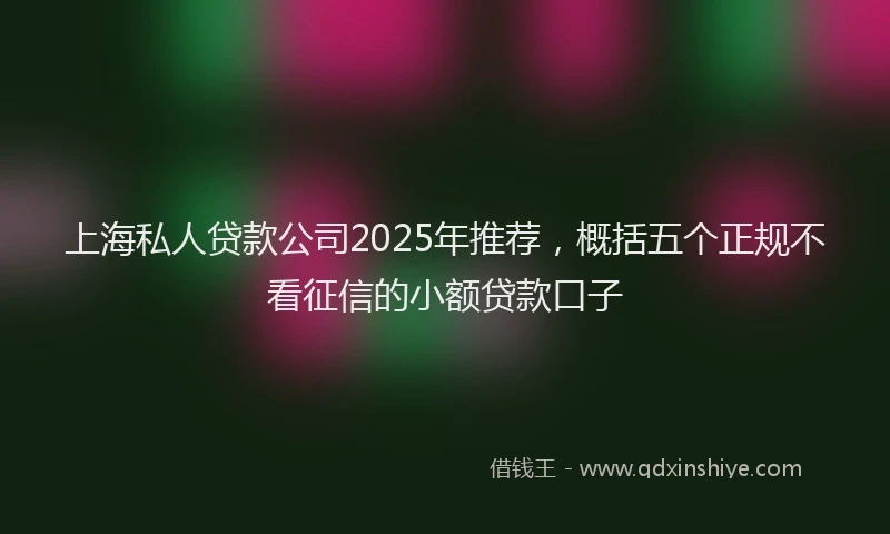 上海私人贷款公司2025年推荐，概括五个正规不看征信的小额贷款口子