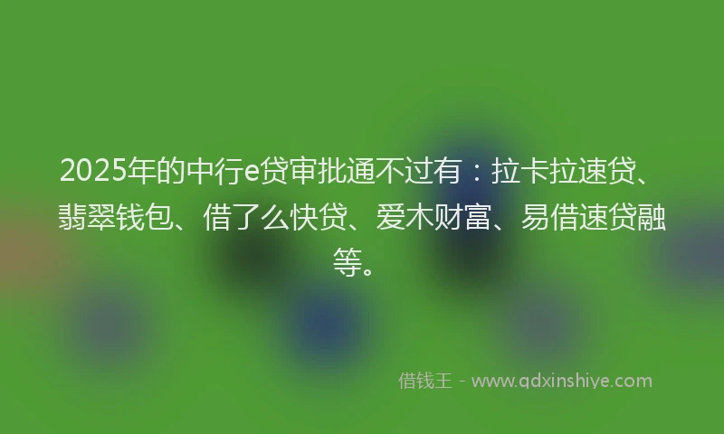 2025年的中行e贷审批通不过有：拉卡拉速贷、翡翠钱包、借了么快贷、爱木财富、易借速贷融等。
