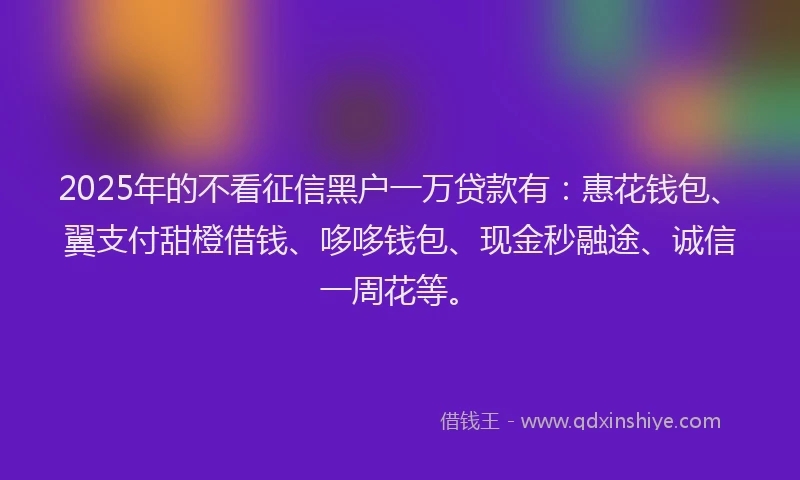 2025年的不看征信黑户一万贷款有：惠花钱包、翼支付甜橙借钱、哆哆钱包、现金秒融途、诚信一周花等。