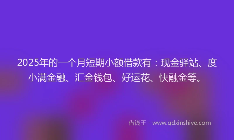 2025年的一个月短期小额借款有：现金驿站、度小满金融、汇金钱包、好运花、快融金等。