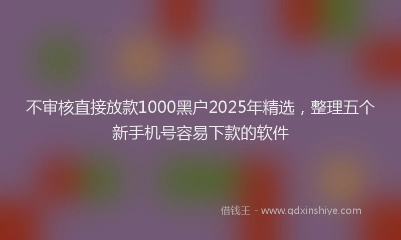 不审核直接放款1000黑户2025年精选，整理五个新手机号容易下款的软件
