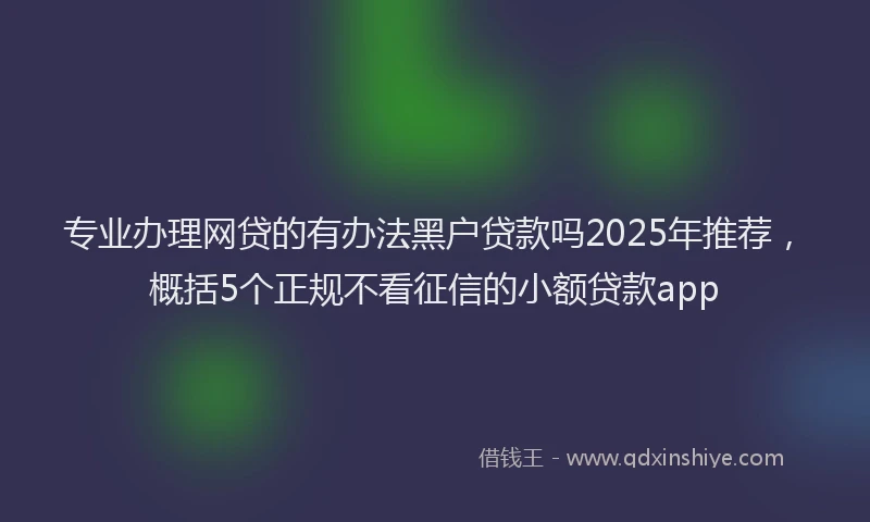 专业办理网贷的有办法黑户贷款吗2025年推荐，概括5个正规不看征信的小额贷款app