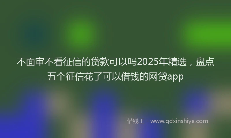 不面审不看征信的贷款可以吗2025年精选，盘点五个征信花了可以借钱的网贷app