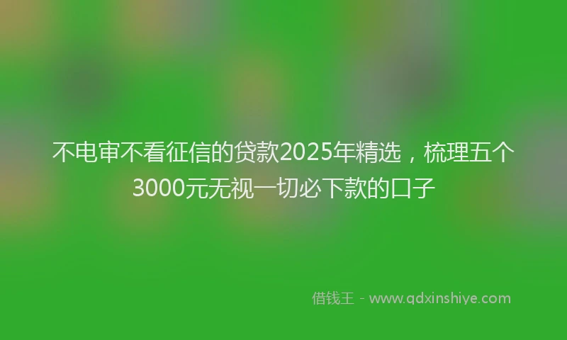 不电审不看征信的贷款2025年精选，梳理五个3000元无视一切必下款的口子
