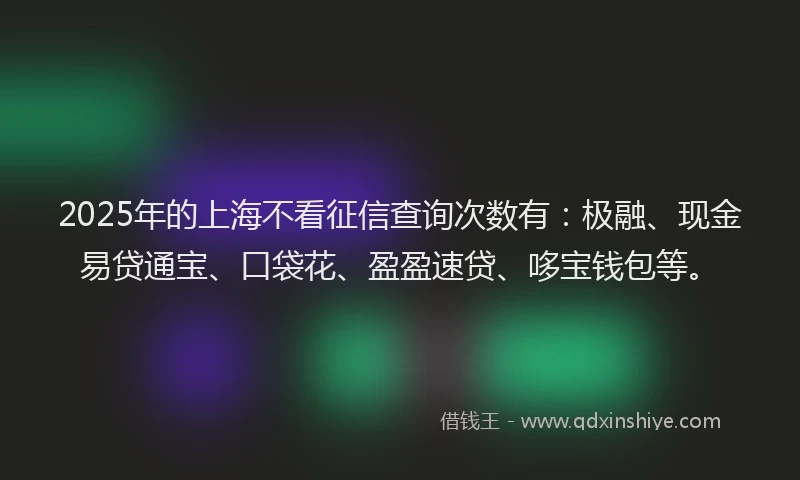 2025年的上海不看征信查询次数有：极融、现金易贷通宝、口袋花、盈盈速贷、哆宝钱包等。