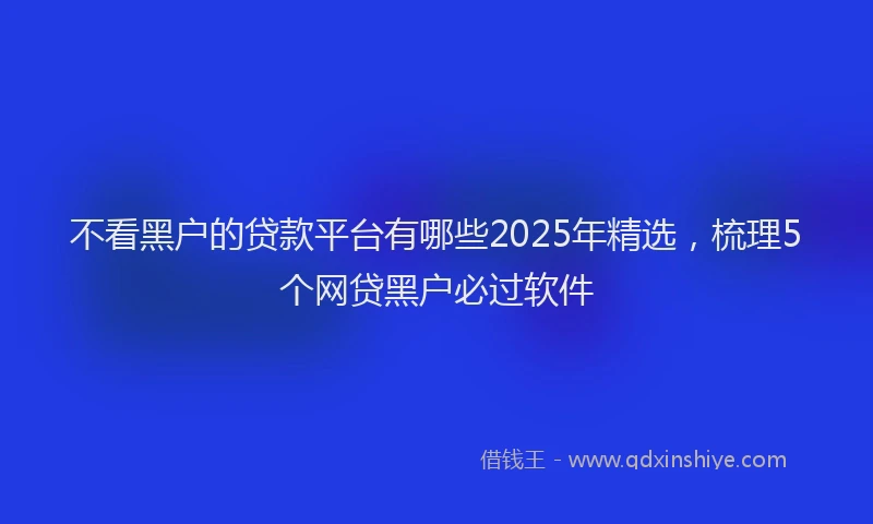 不看黑户的贷款平台有哪些2025年精选,梳理5个网贷黑户必过软件