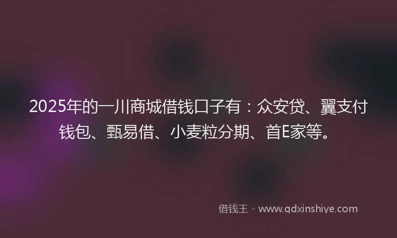2025年的一川商城借钱口子有：众安贷、翼支付钱包、甄易借、小麦粒分期、首E家等。