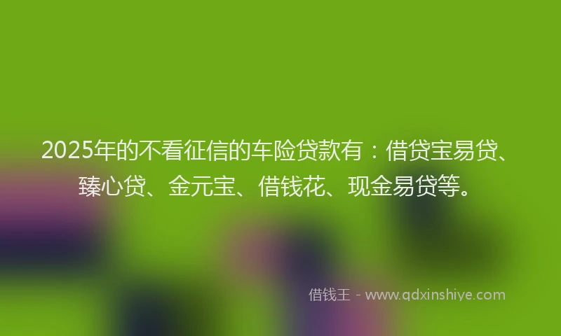 2025年的不看征信的车险贷款有：借贷宝易贷、臻心贷、金元宝、借钱花、现金易贷等。