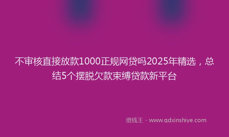 不审核直接放款1000正规网贷吗2025年精选,总结5个摆脱欠款束缚贷款新平台