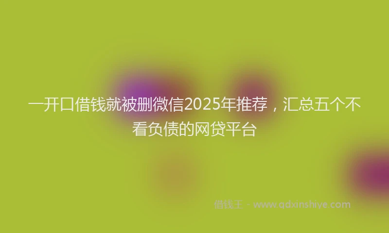 一开口借钱就被删微信2025年推荐，汇总五个不看负债的网贷平台