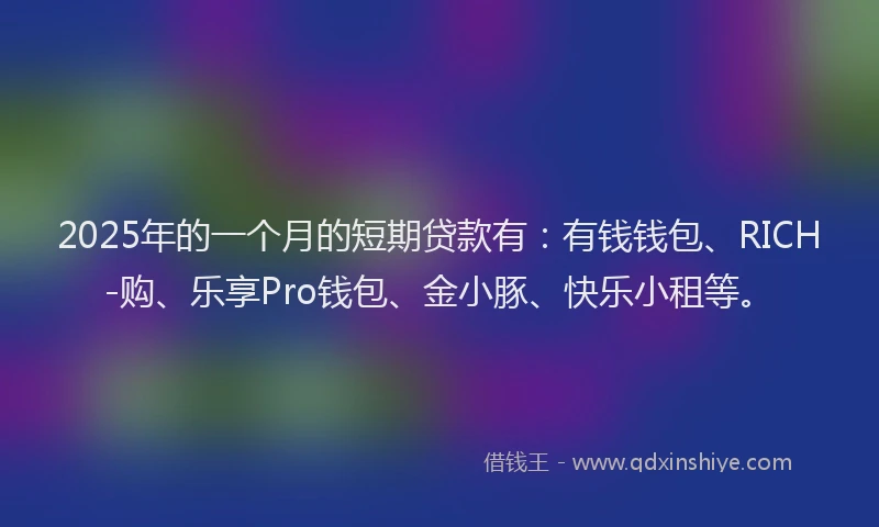 2025年的一个月的短期贷款有：有钱钱包、RICH-购、乐享Pro钱包、金小豚、快乐小租等。