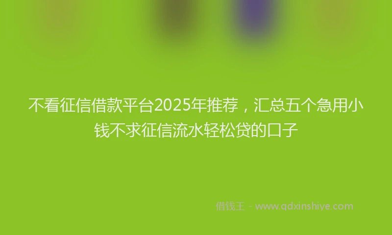 不看征信借款平台2025年推荐，汇总五个急用小钱不求征信流水轻松贷的口子