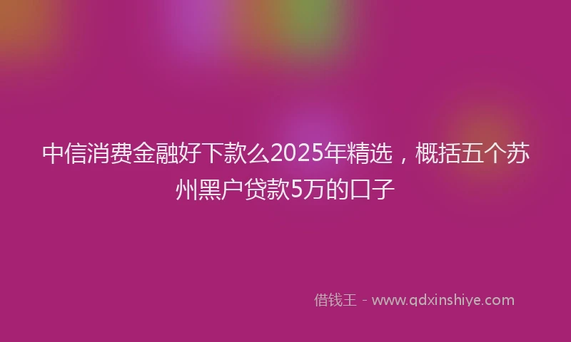 中信消费金融好下款么2025年精选，概括五个苏州黑户贷款5万的口子