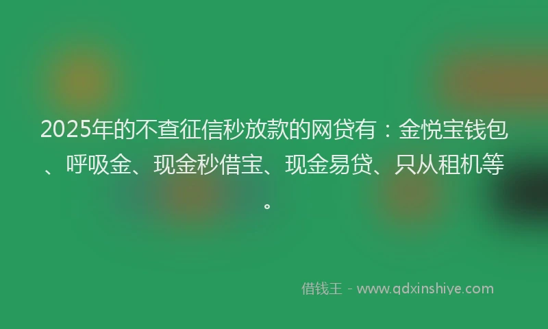 2025年的不查征信秒放款的网贷有：金悦宝钱包、呼吸金、现金秒借宝、现金易贷、只从租机等。