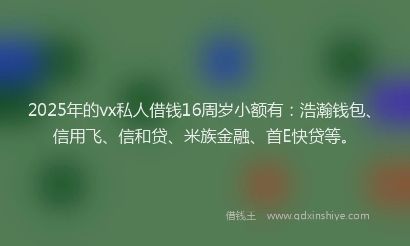 2025年的vx私人借钱16周岁小额有：浩瀚钱包、信用飞、信和贷、米族金融、首E快贷等。