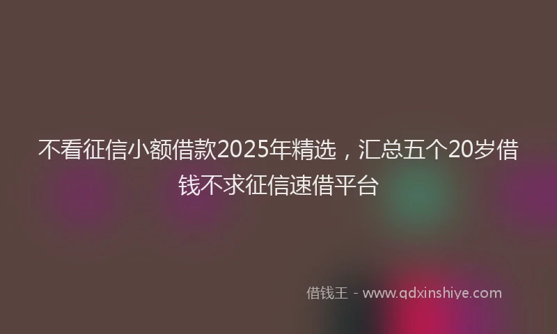 不看征信小额借款2025年精选，汇总五个20岁借钱不求征信速借平台
