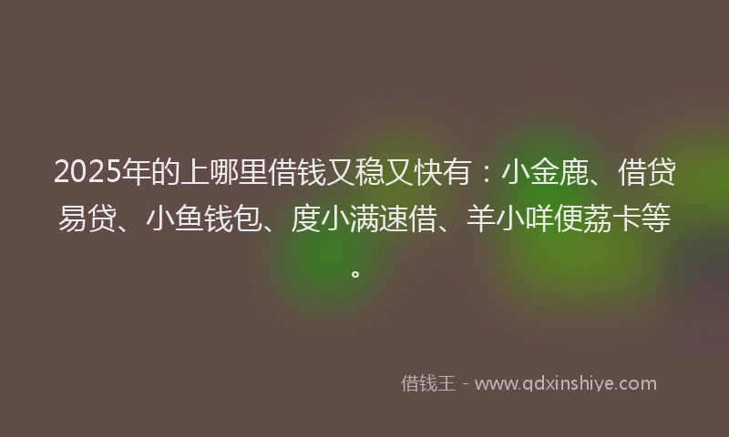 2025年的上哪里借钱又稳又快有：小金鹿、借贷易贷、小鱼钱包、度小满速借、羊小咩便荔卡等。