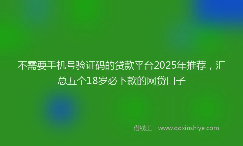 不需要手机号验证码的贷款平台2025年推荐，汇总五个18岁必下款的网贷口子