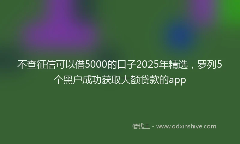 不查征信可以借5000的口子2025年精选，罗列5个黑户成功获取大额贷款的app
