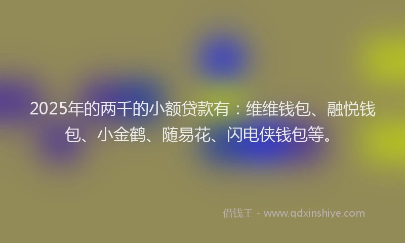 2025年的两千的小额贷款有：维维钱包、融悦钱包、小金鹤、随易花、闪电侠钱包等。