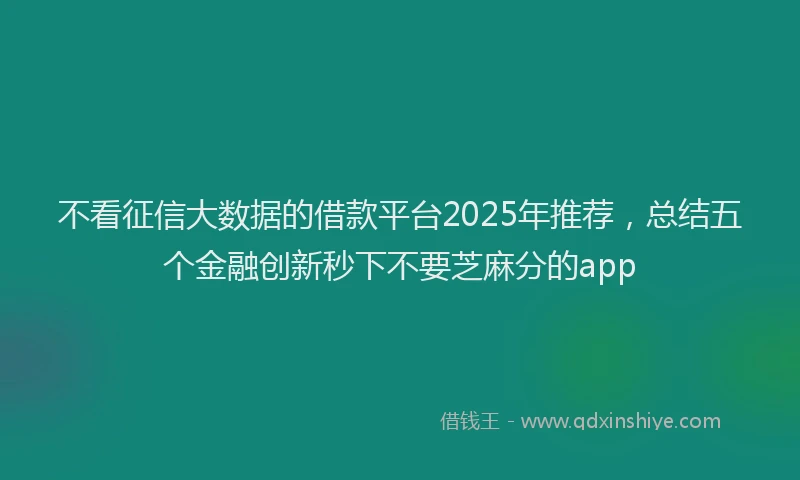 不看征信大数据的借款平台2025年推荐，总结五个金融创新秒下不要芝麻分的app