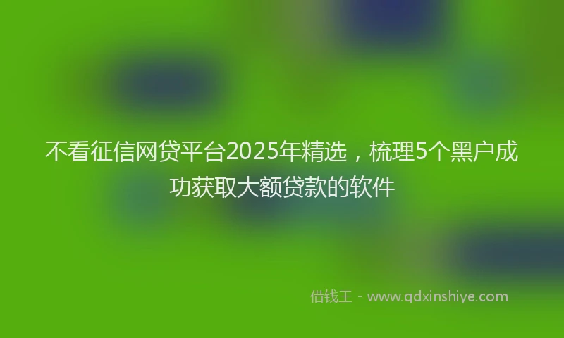 不看征信网贷平台2025年精选，梳理5个黑户成功获取大额贷款的软件