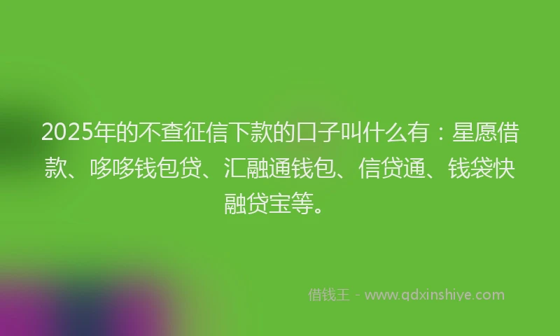2025年的不查征信下款的口子叫什么有：星愿借款、哆哆钱包贷、汇融通钱包、信贷通、钱袋快融贷宝等。