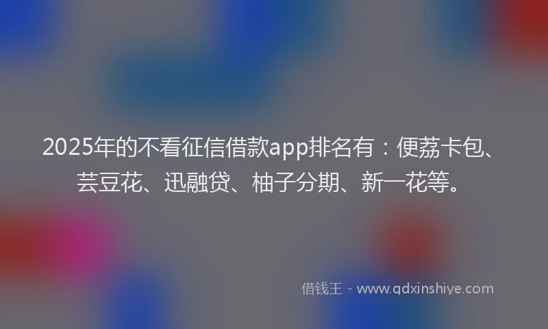 2025年的不看征信借款app排名有：便荔卡包、芸豆花、迅融贷、柚子分期、新一花等。